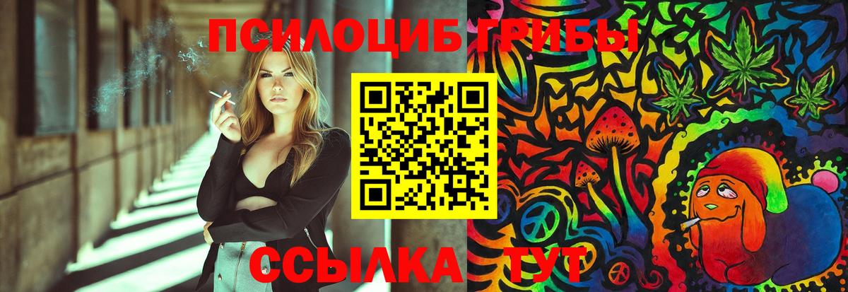Аргун  Псилоцибиновые грибы Psilocybe  Вход с VPN 