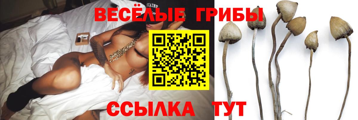 Псилоцибиновые грибы ЛСД Аргун